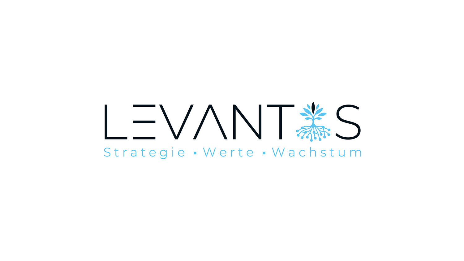 Levantis Group - Finanzkanzlei
